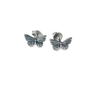 Petite Butterfly Stud Earrings